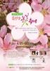 세종시, 조치원복숭아 봄꽃 축제 개최