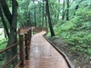 대덕구‘대청호반 숲 무장애 나눔길’조성 완료