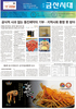 금산시대 8호 1면